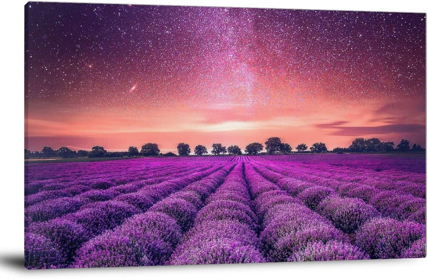 Lavender Field At Starry Night Wallpapers