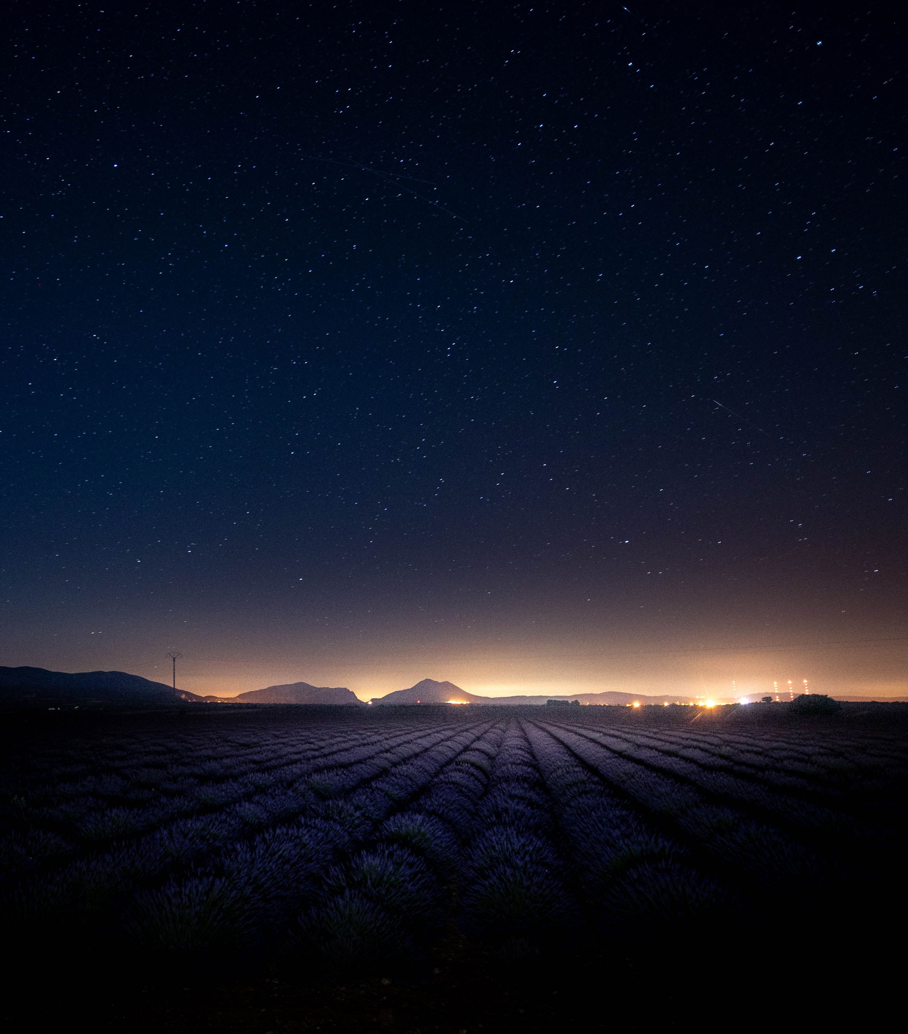 Lavender Field At Starry Night Wallpapers