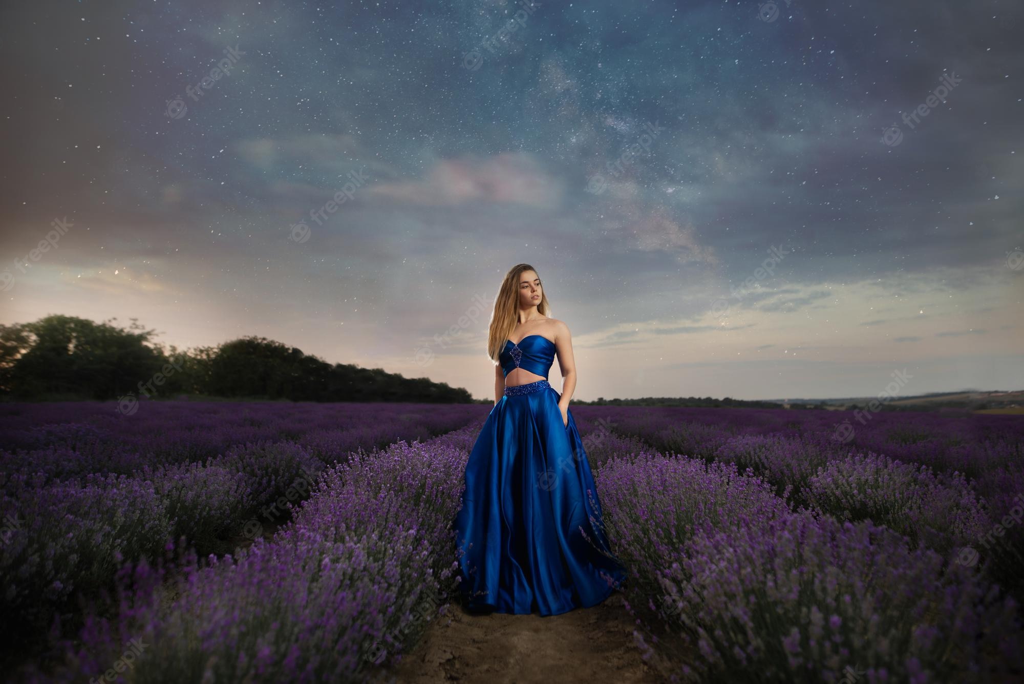 Lavender Field At Starry Night Wallpapers