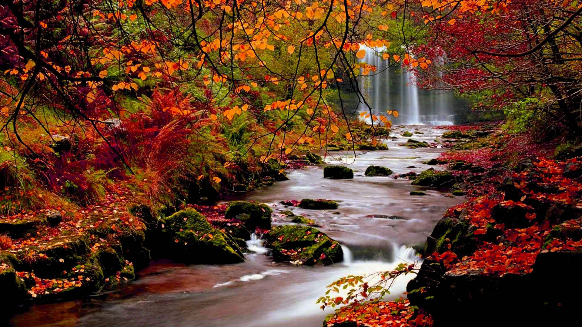 Leaf Autumn Wallpapers