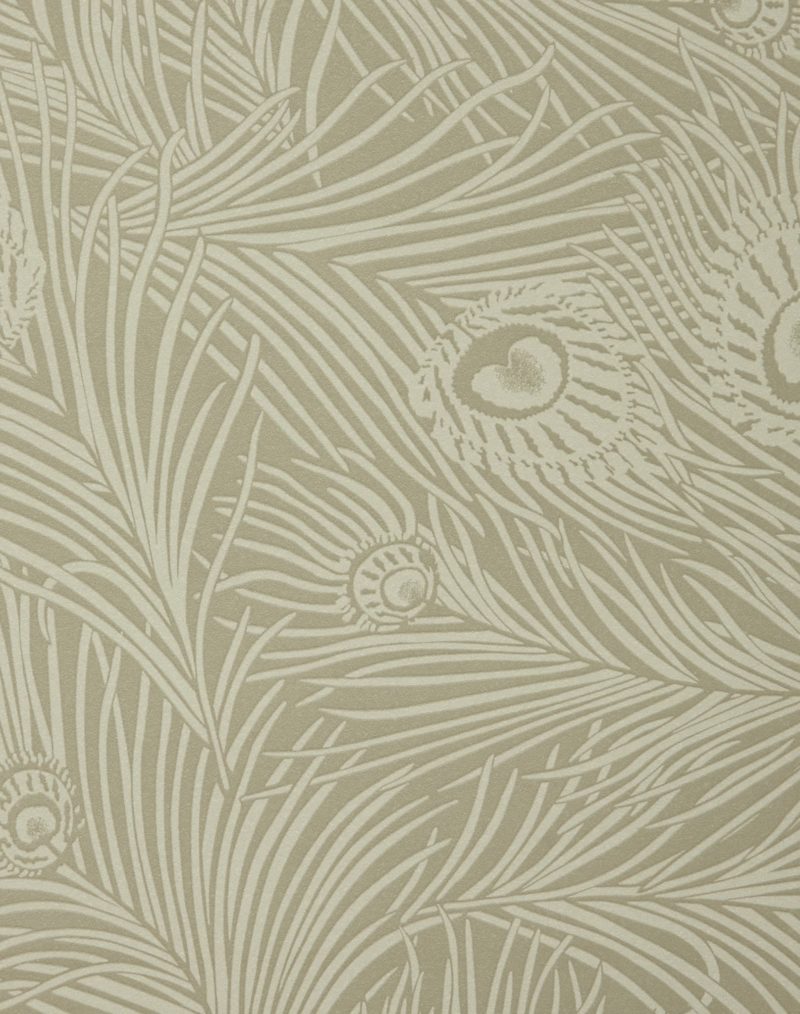 Lichen Wallpapers