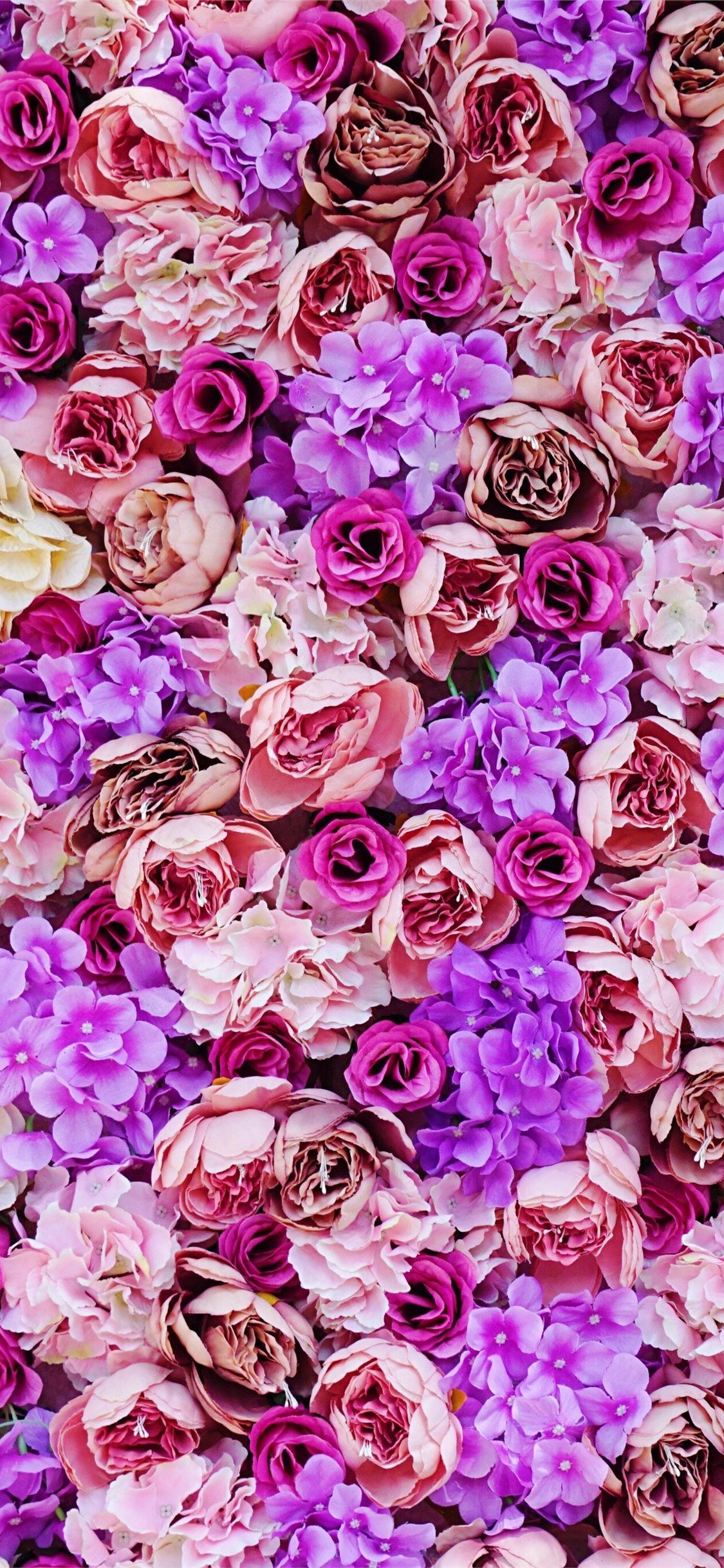 Lilac Flower Wallpapers