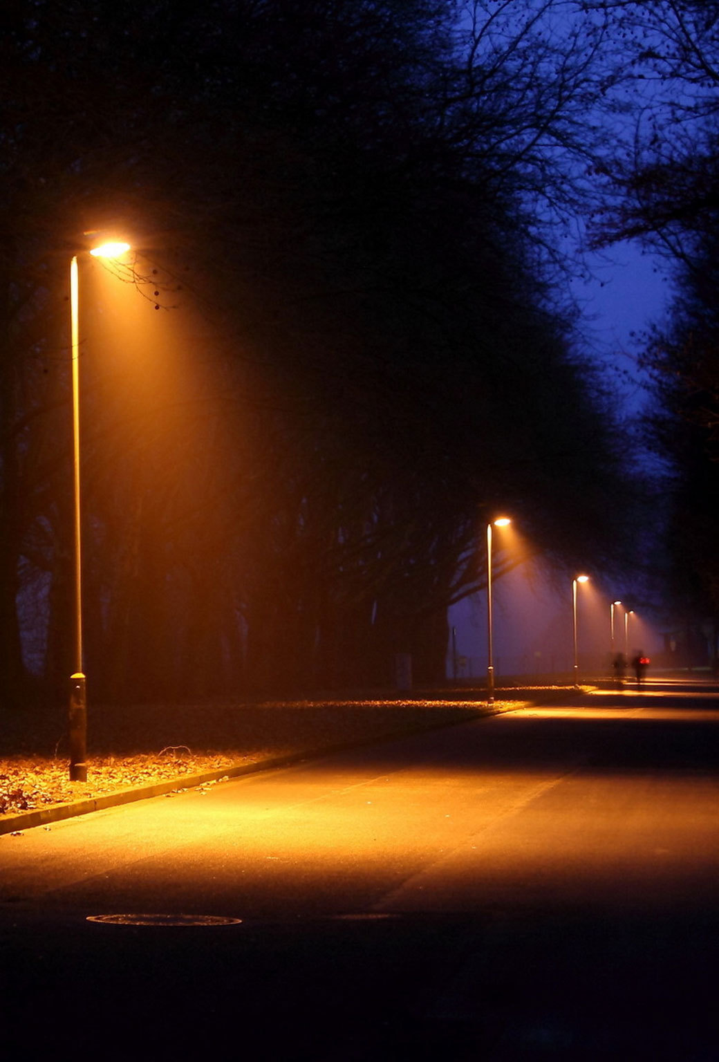 Lonely Street Lights Road Wallpapers