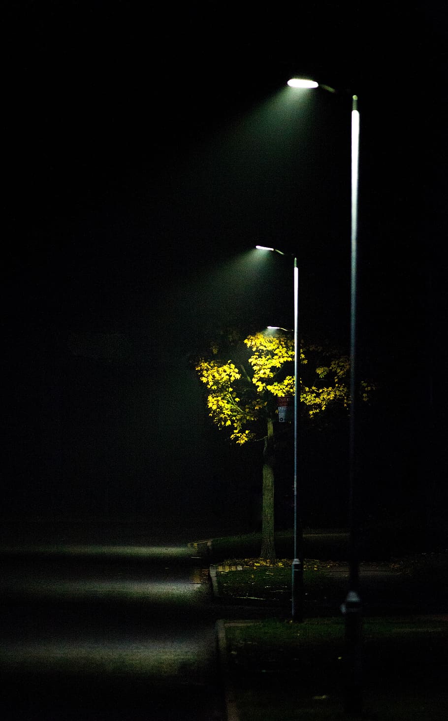 Lonely Street Lights Road Wallpapers