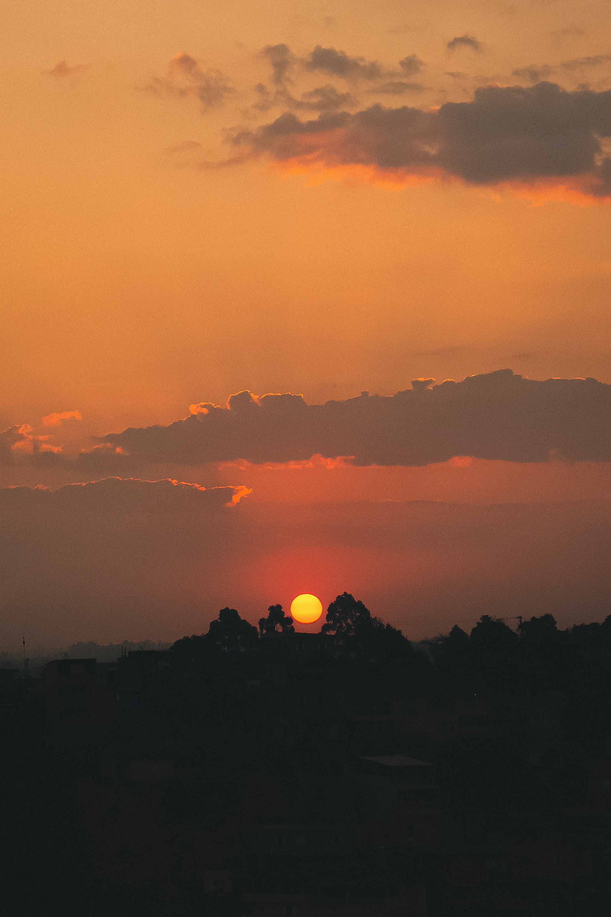 Lonely Tree Orange Sky Wallpapers