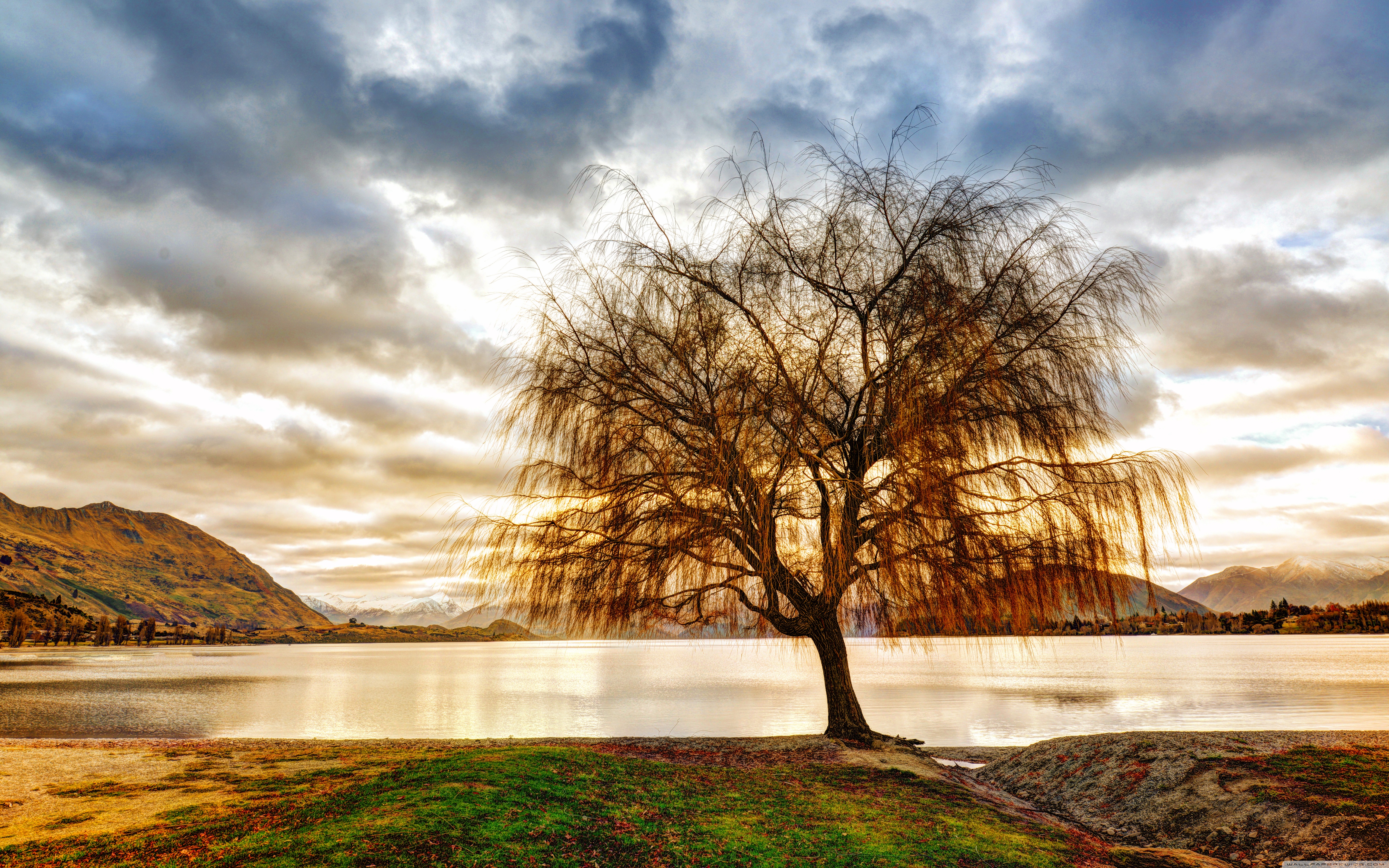 Lonely Tree Orange Sky Wallpapers