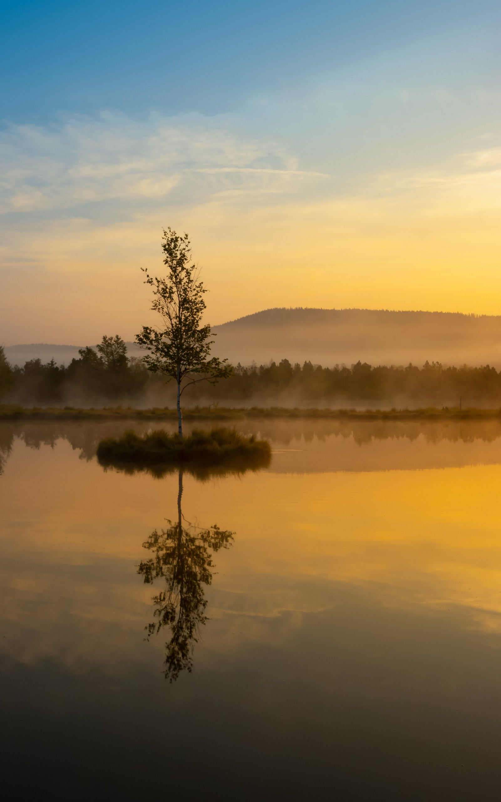 Lonely Tree Orange Sky Wallpapers