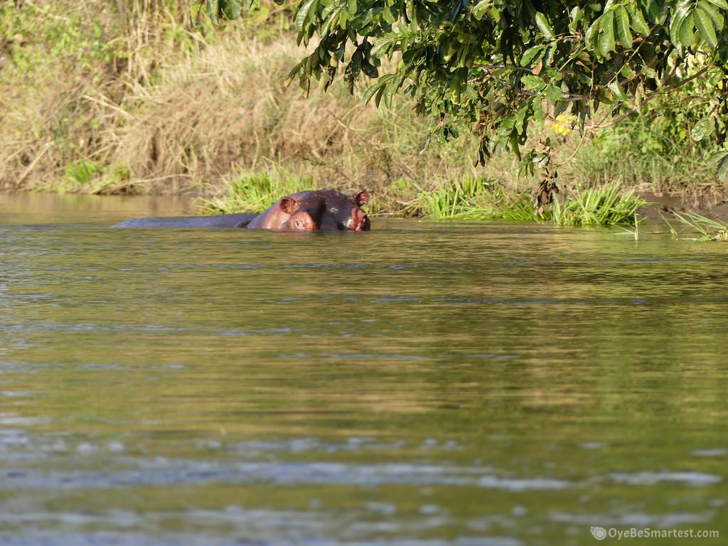 Lower Zambezi National Park Wallpapers