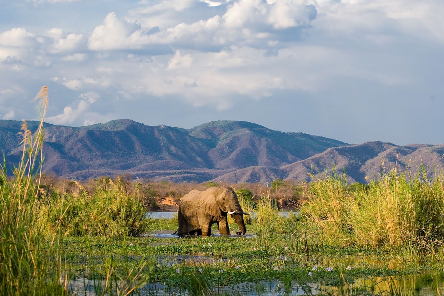 Lower Zambezi National Park Wallpapers