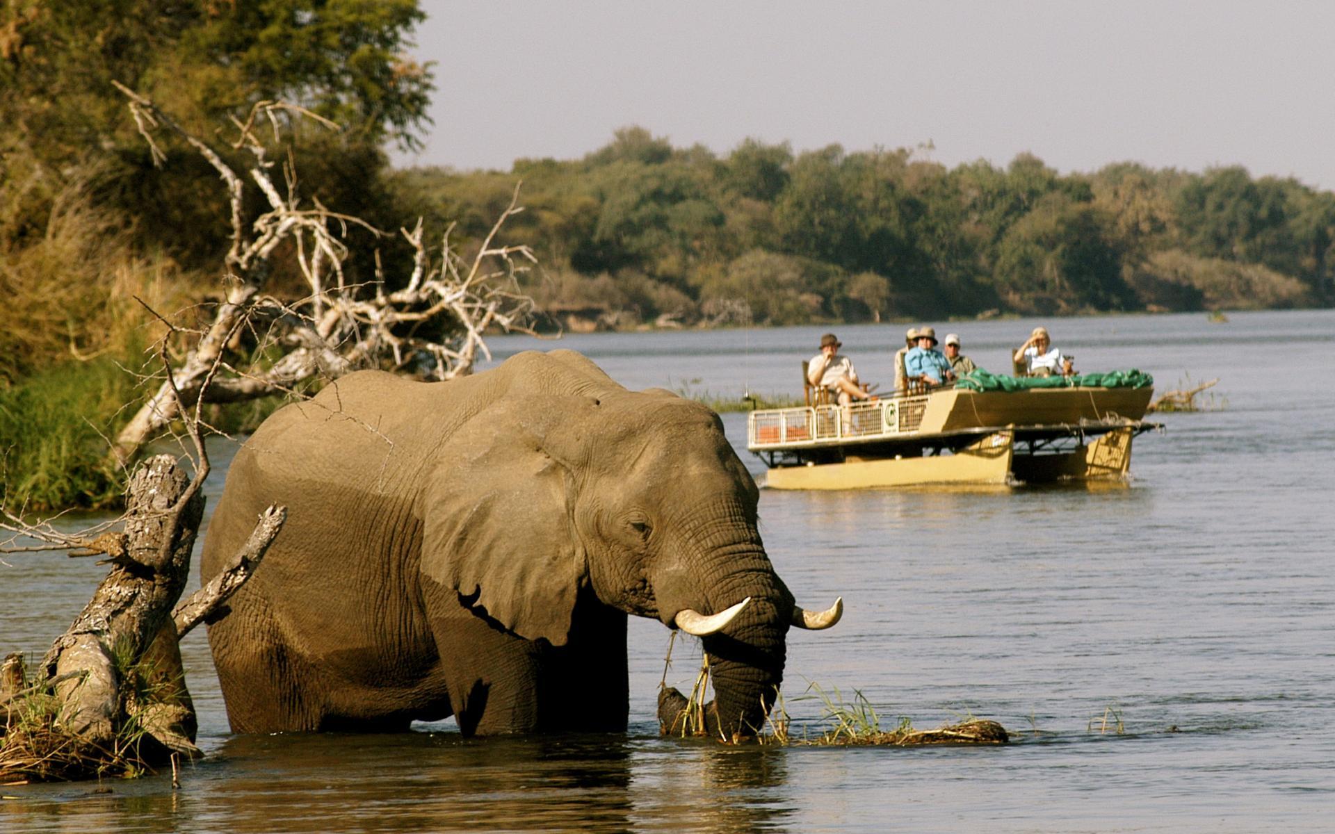 Lower Zambezi National Park Wallpapers