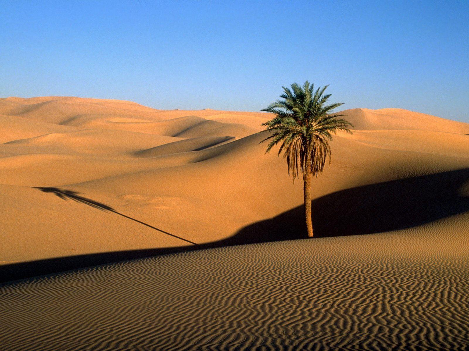 Arabian Desert Pictures Wallpapers