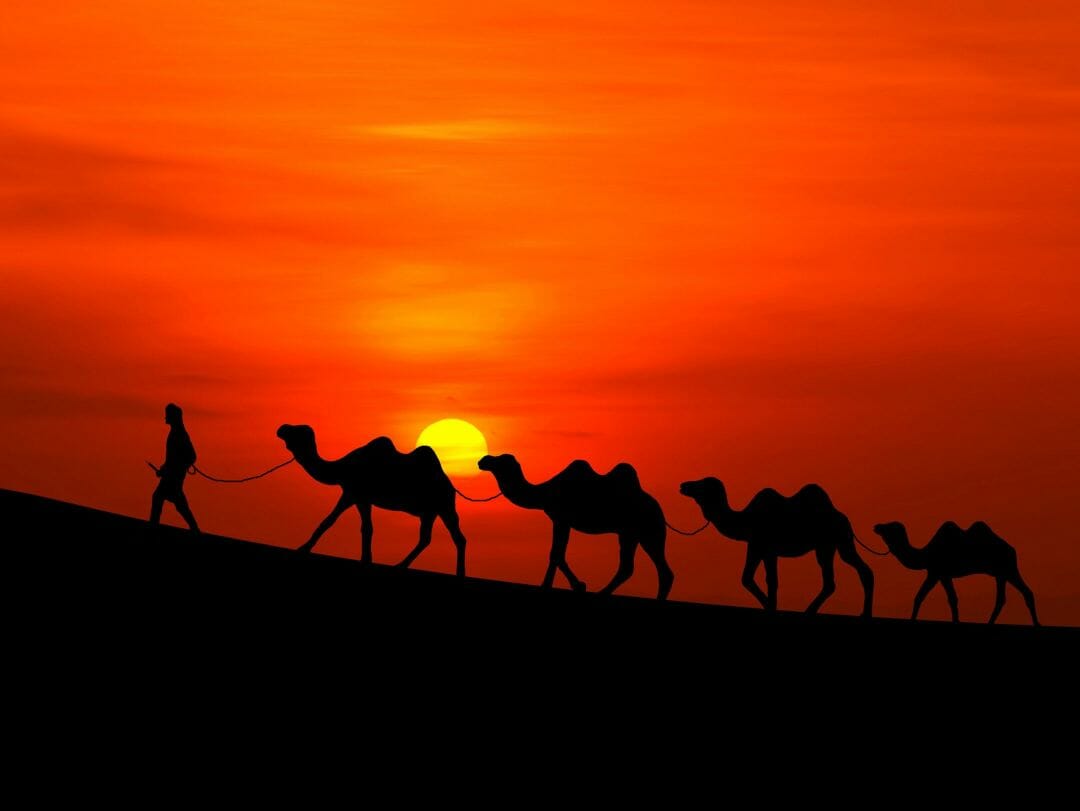 Arabian Desert Pictures Wallpapers