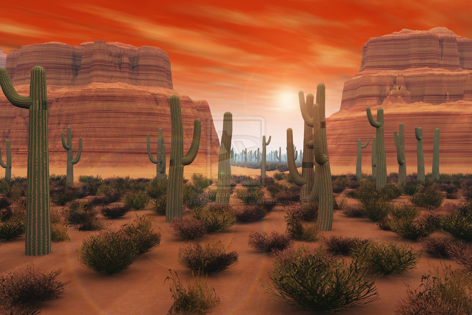 Arizona Desert Wallpapers