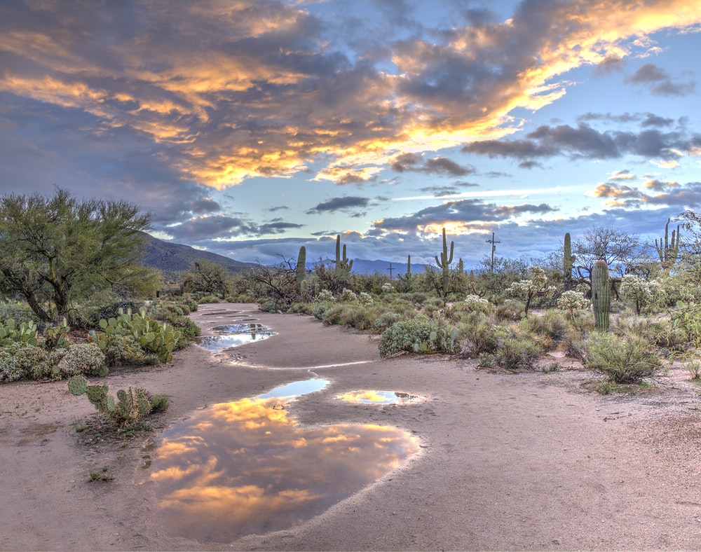 Arizona Desert Wallpapers