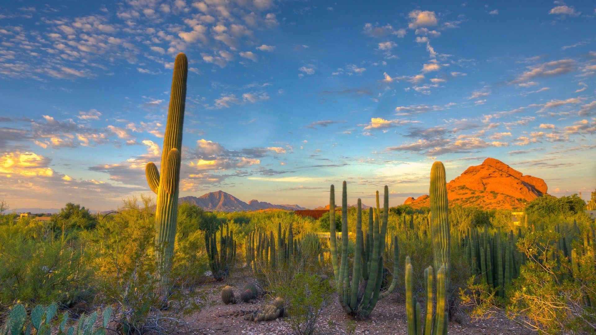 Arizona Desert Wallpapers