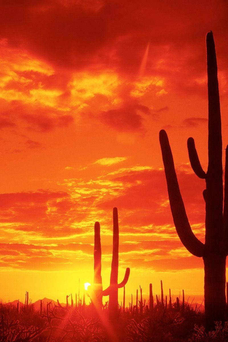 Arizona Desert Wallpapers