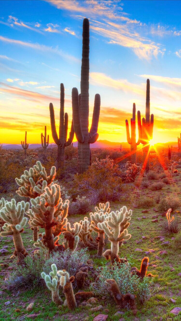 Arizona Desert Wallpapers