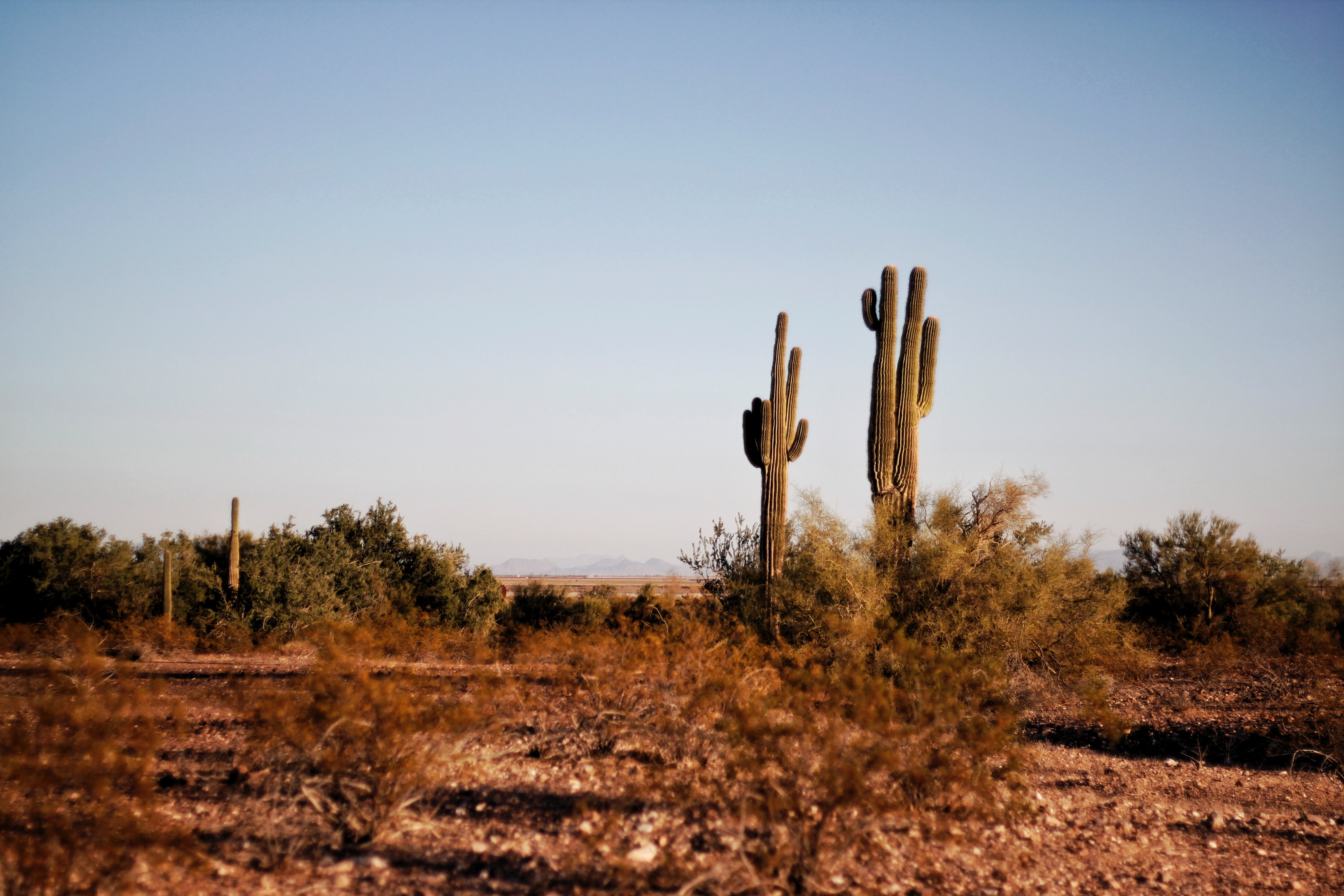 Arizona Desert Wallpapers