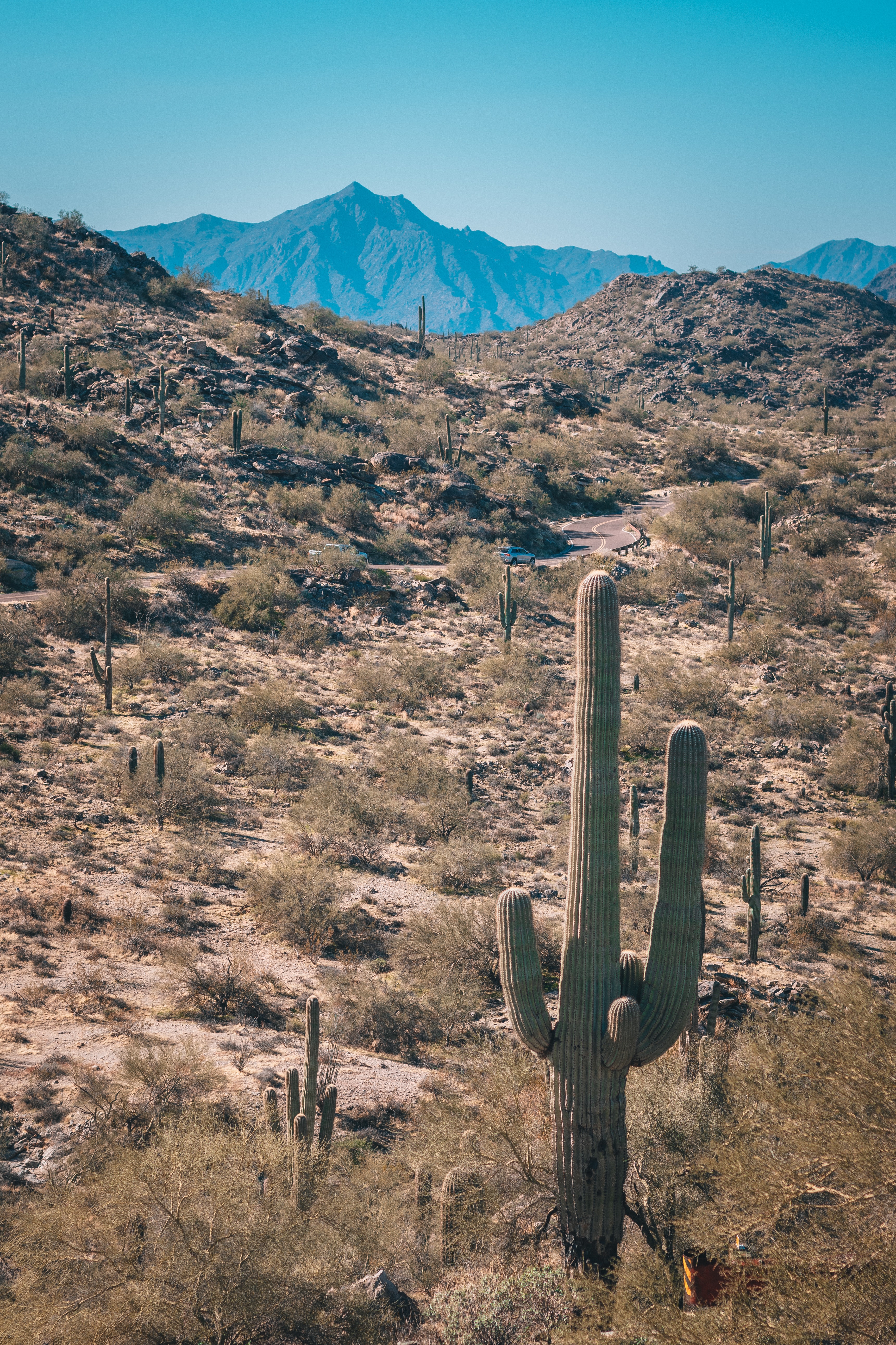 Arizona Desert Wallpapers