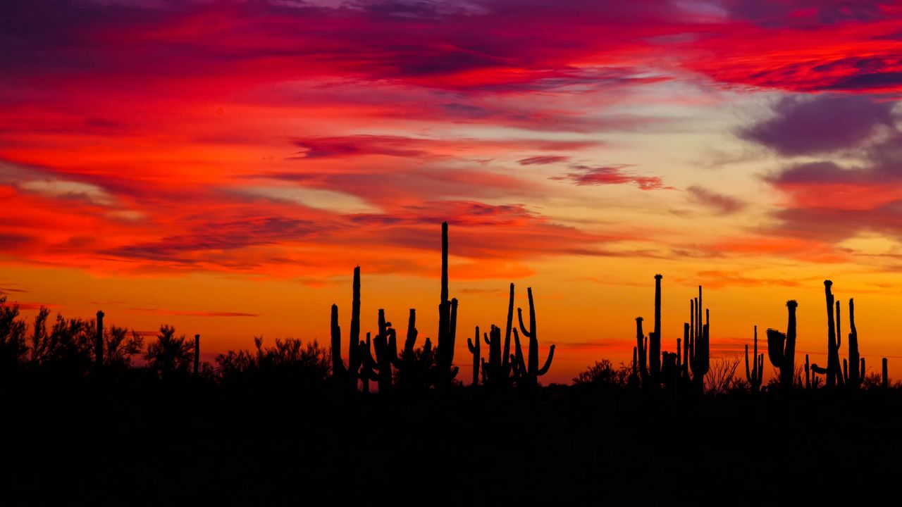 Arizona Hd Wallpapers