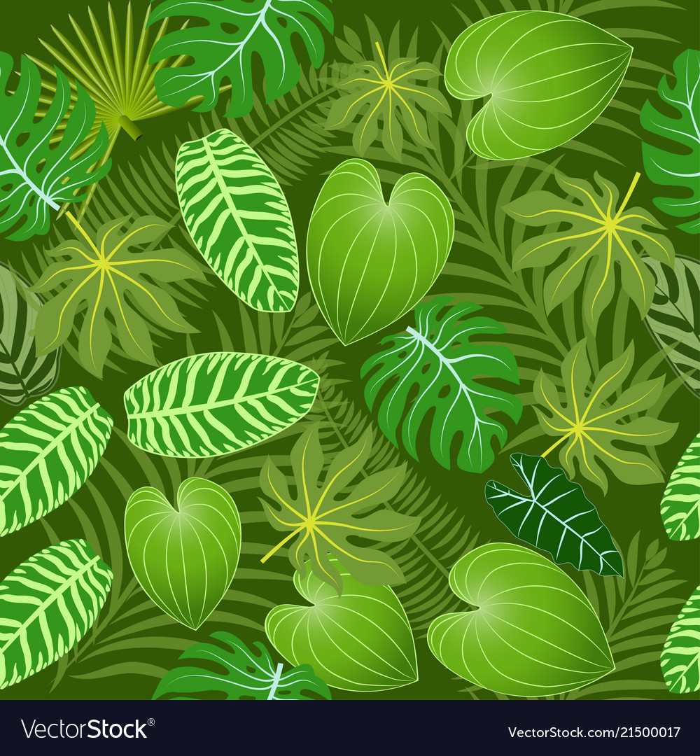 Summer Leaves Background