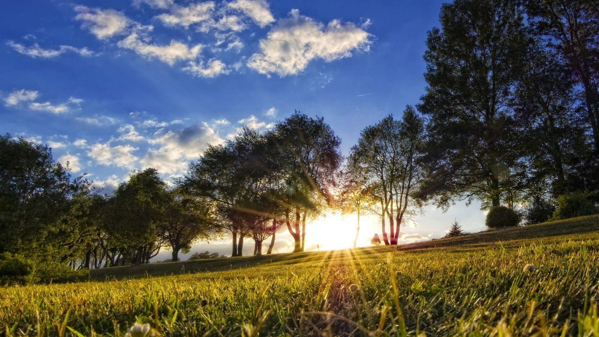 Summer Nature Backgrounds