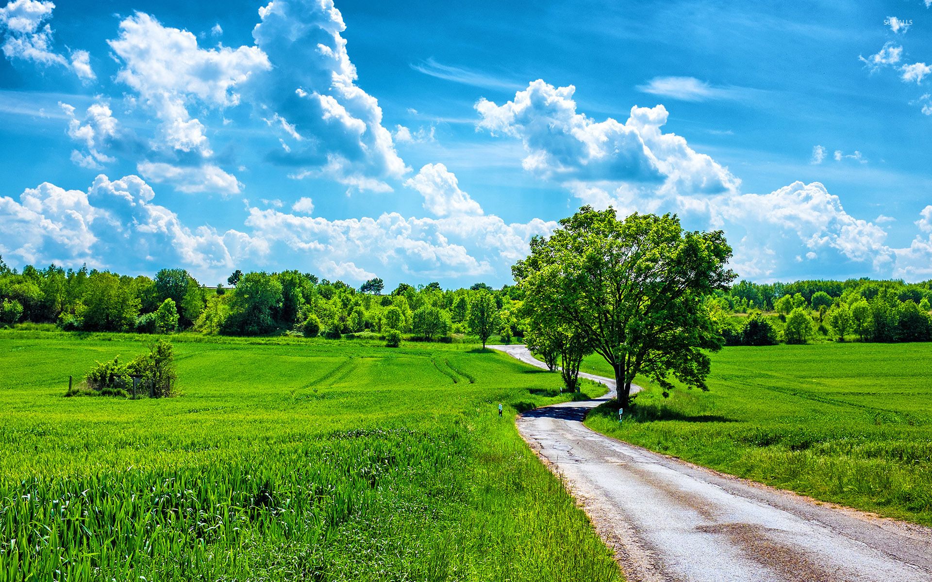 Summer Nature Backgrounds