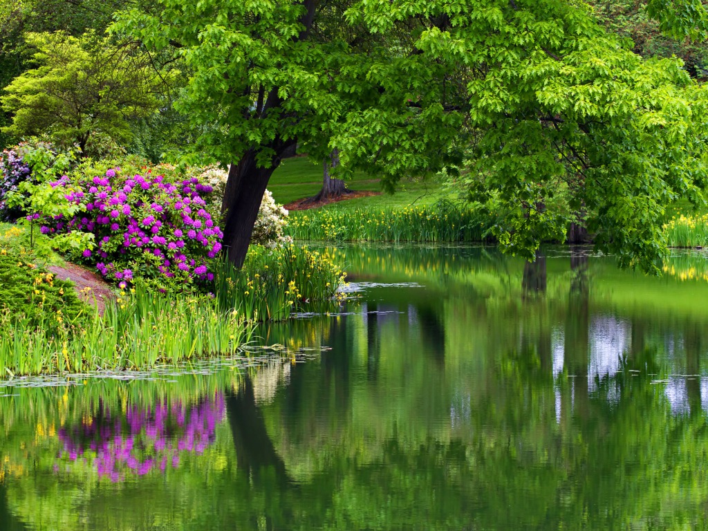 Summer Nature Desktop Background