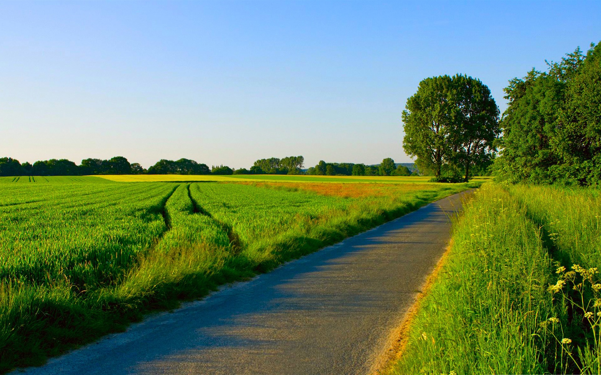 Summer Nature Desktop Background