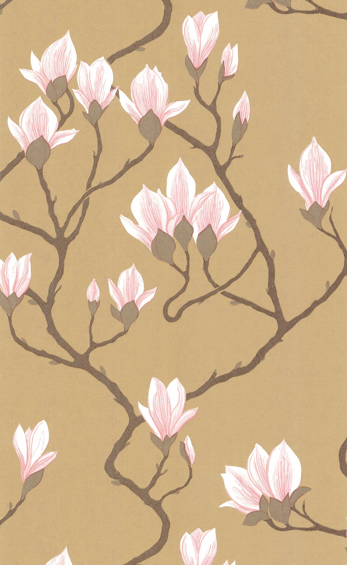 Magnolia Wallpapers