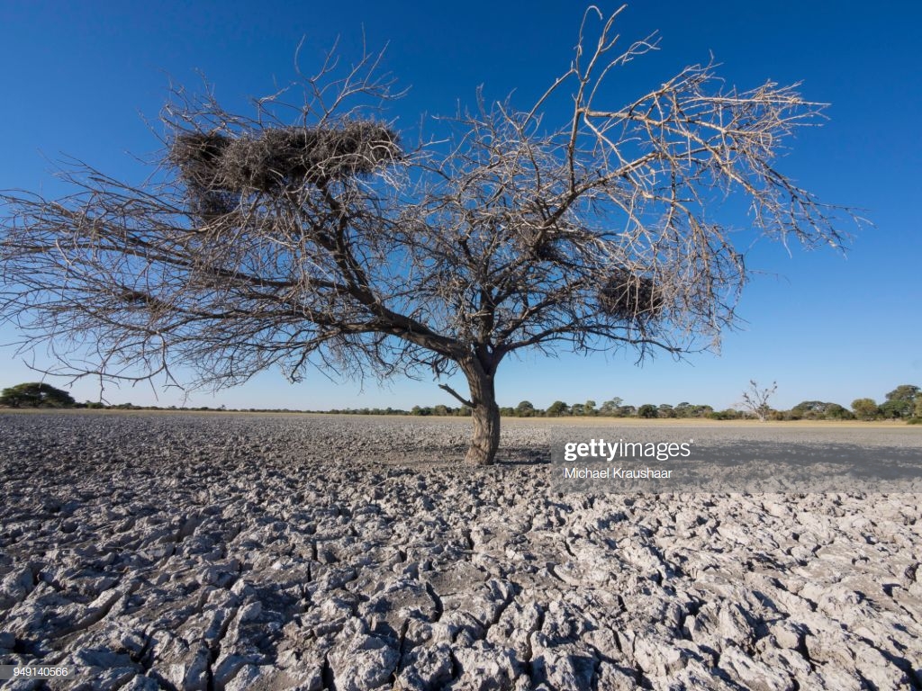 Makgadikgadi Pan Wallpapers