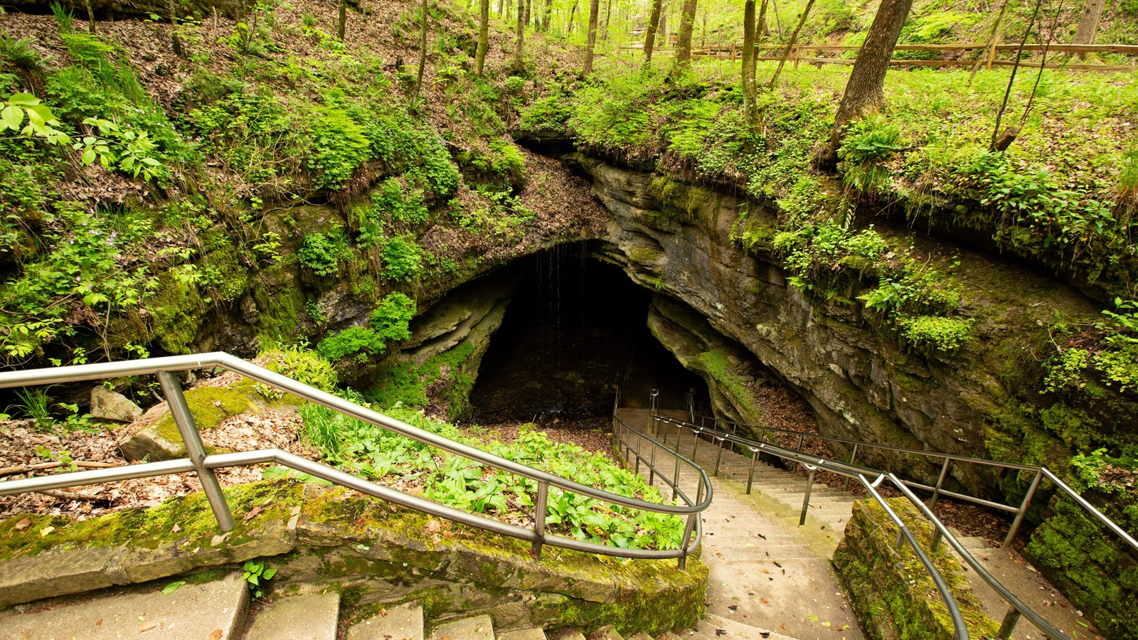 Mammoth Cave National Park Wallpapers