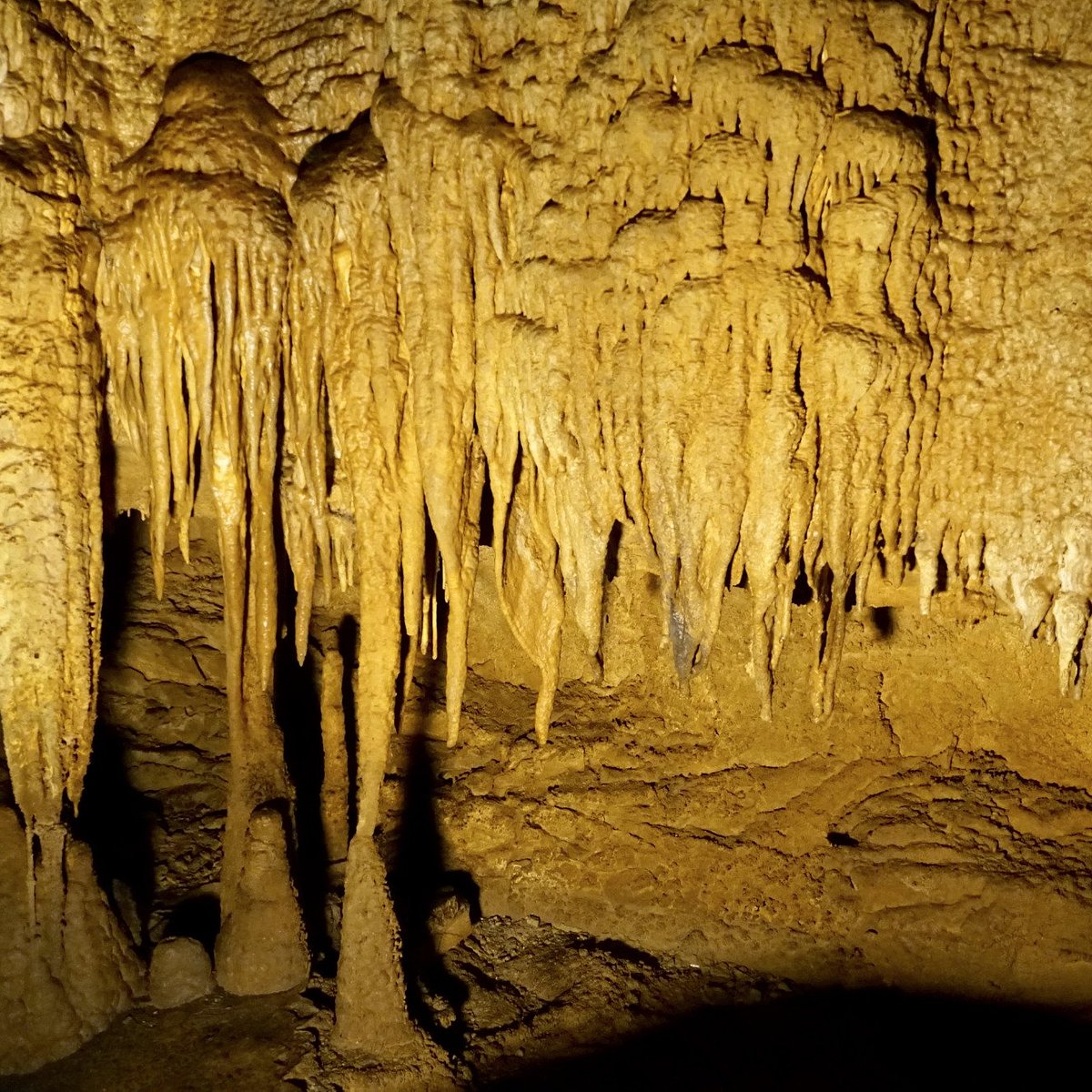 Mammoth Cave National Park Wallpapers