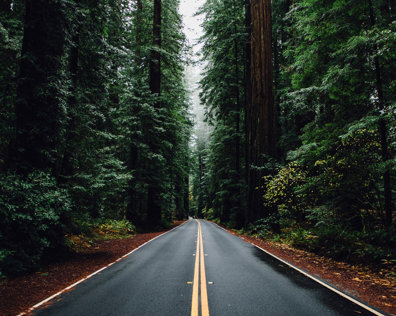 Man Made Road Wallpapers