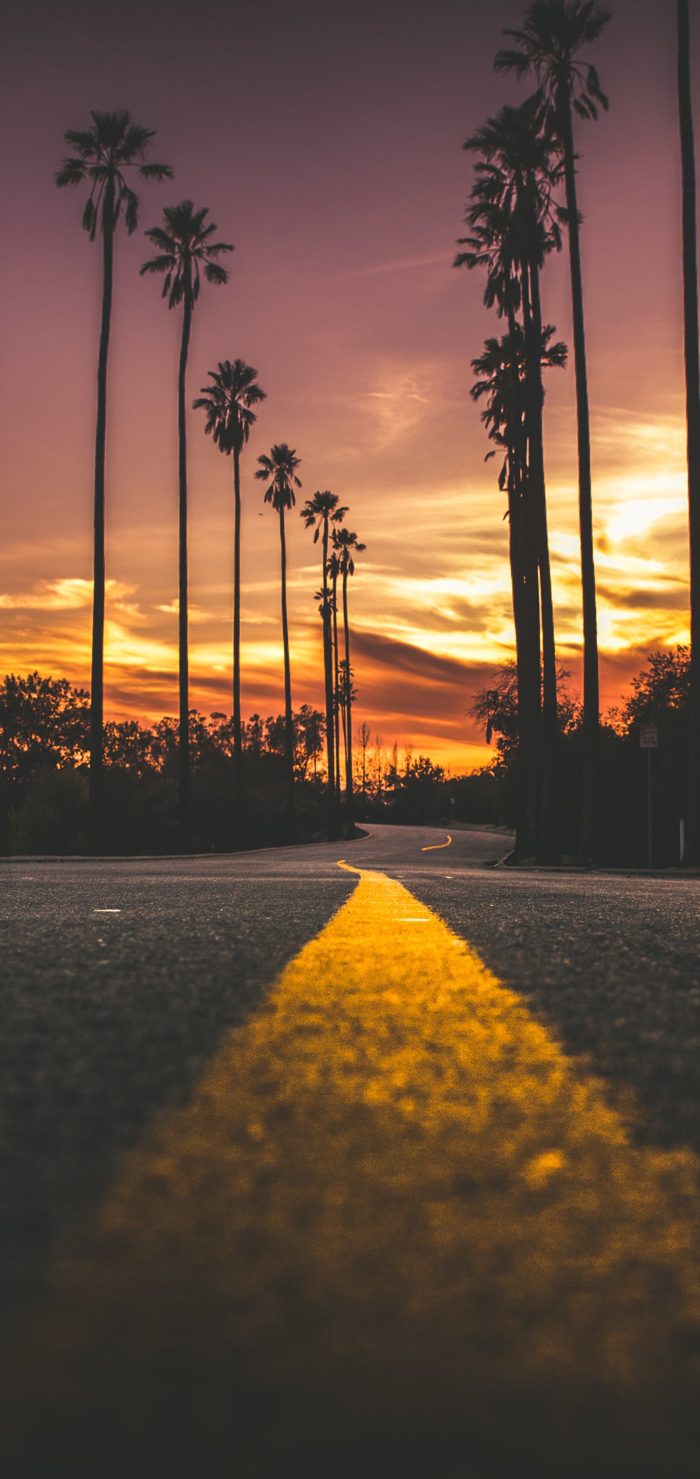 Man Made Road Wallpapers