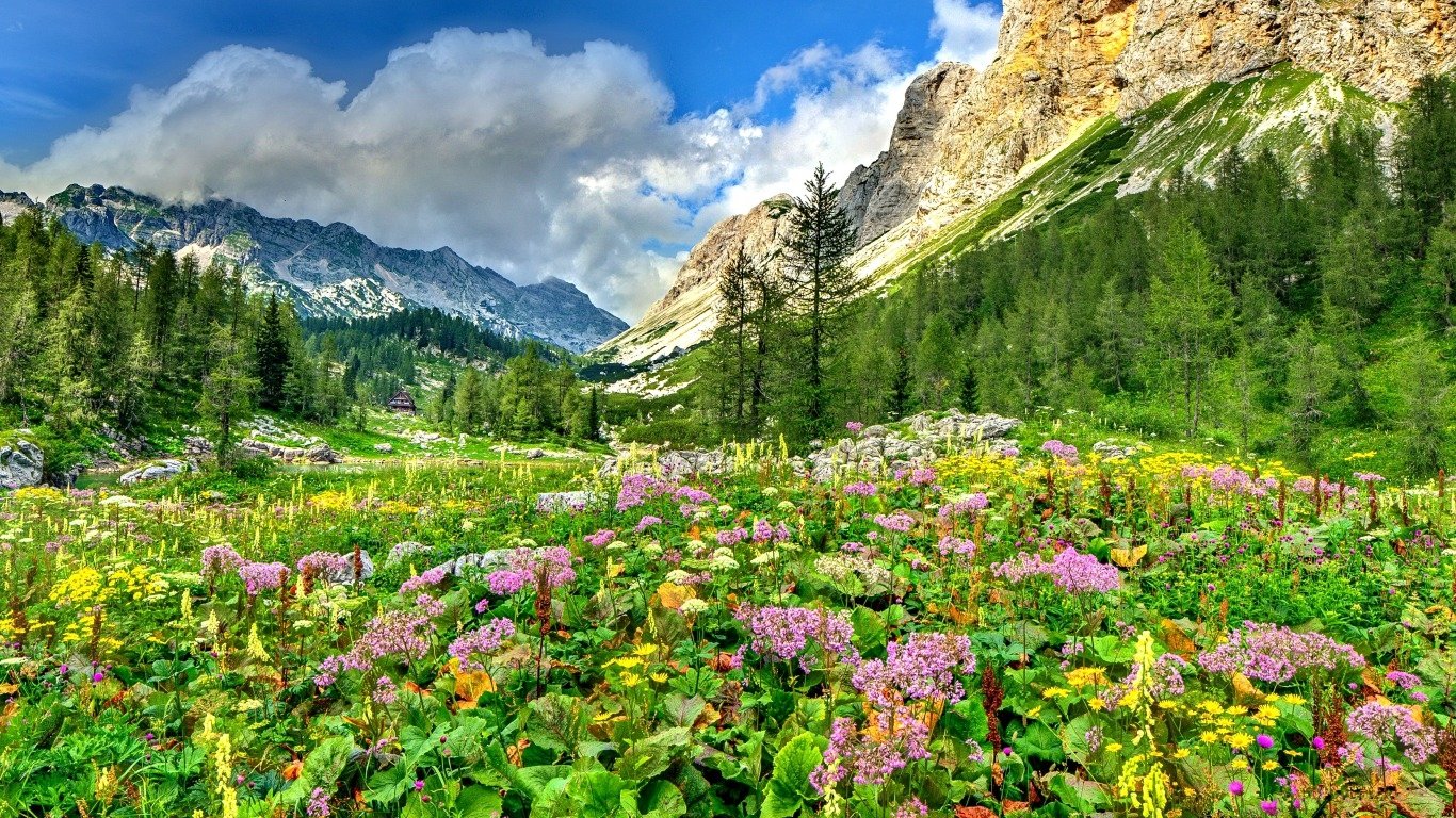 Meadow Wallpapers