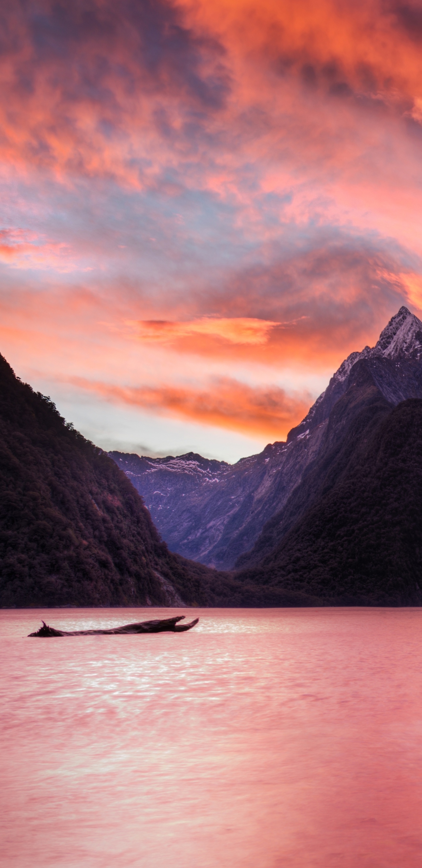 Milford Sound Wallpapers