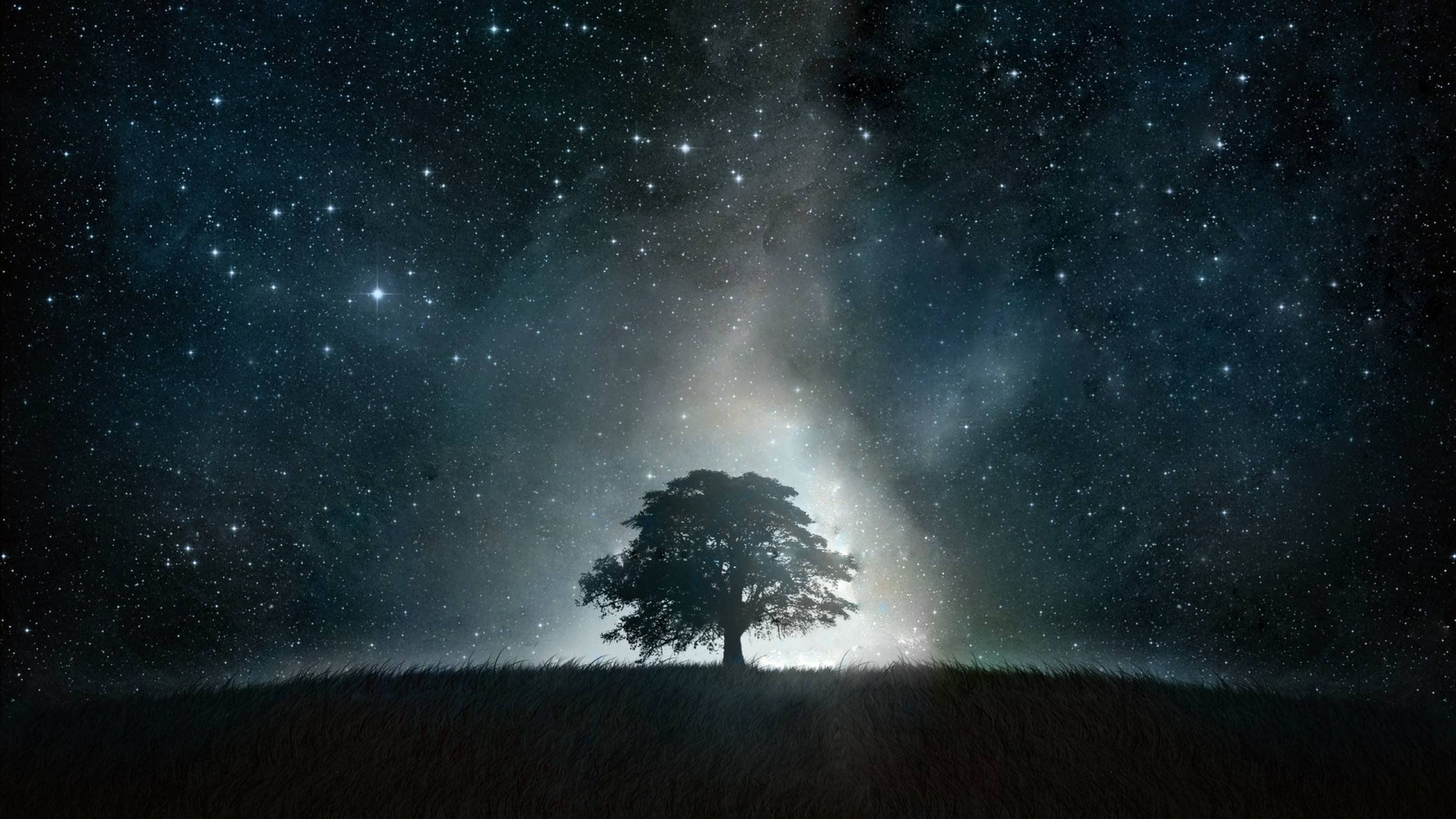 Milky Way And Lonely Tree Wallpapers