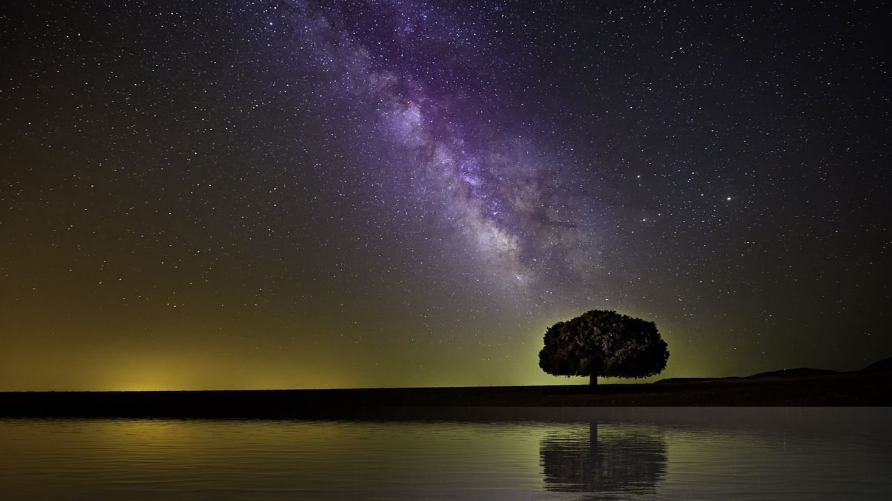 Milky Way And Lonely Tree Wallpapers
