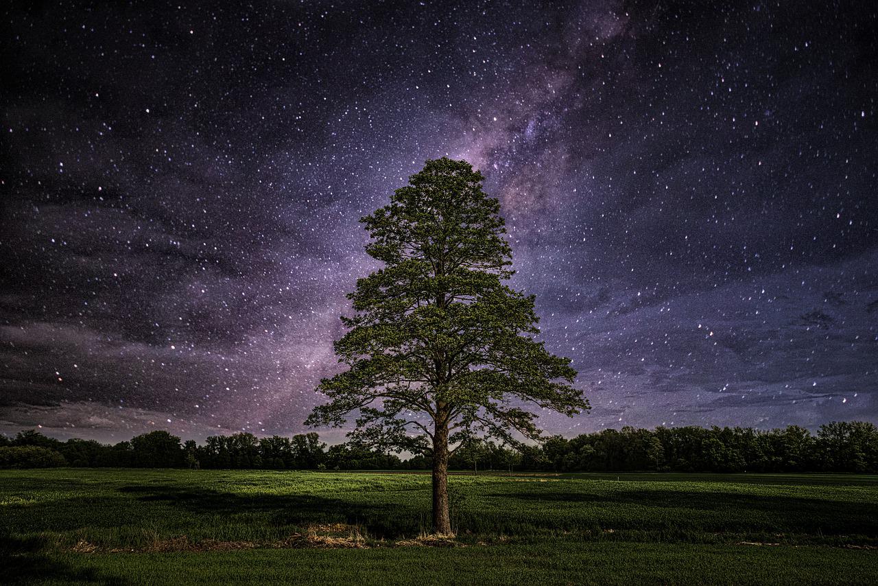 Milky Way And Lonely Tree Wallpapers