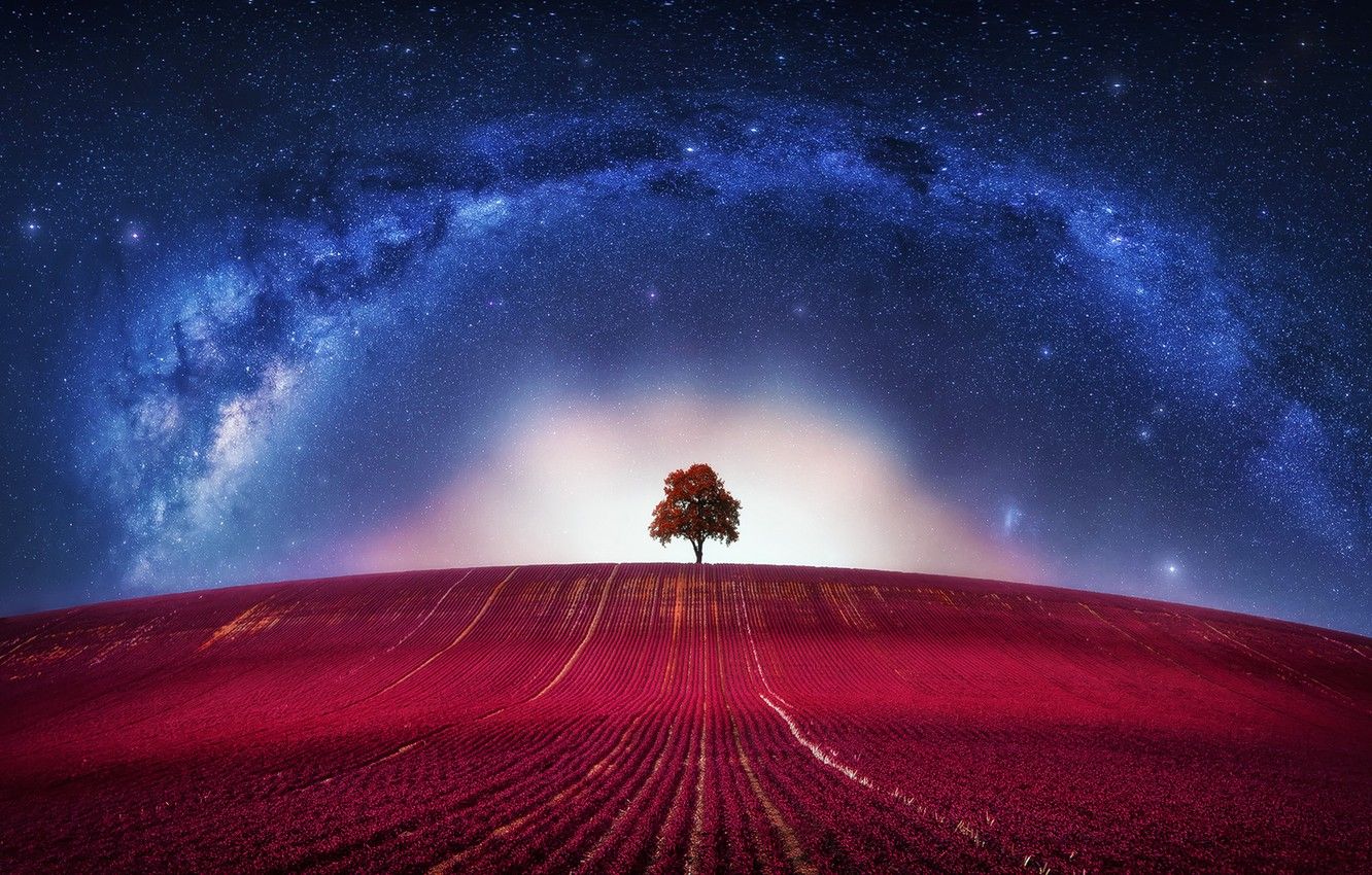 Milky Way Cool Hd Lonely Tree Wallpapers