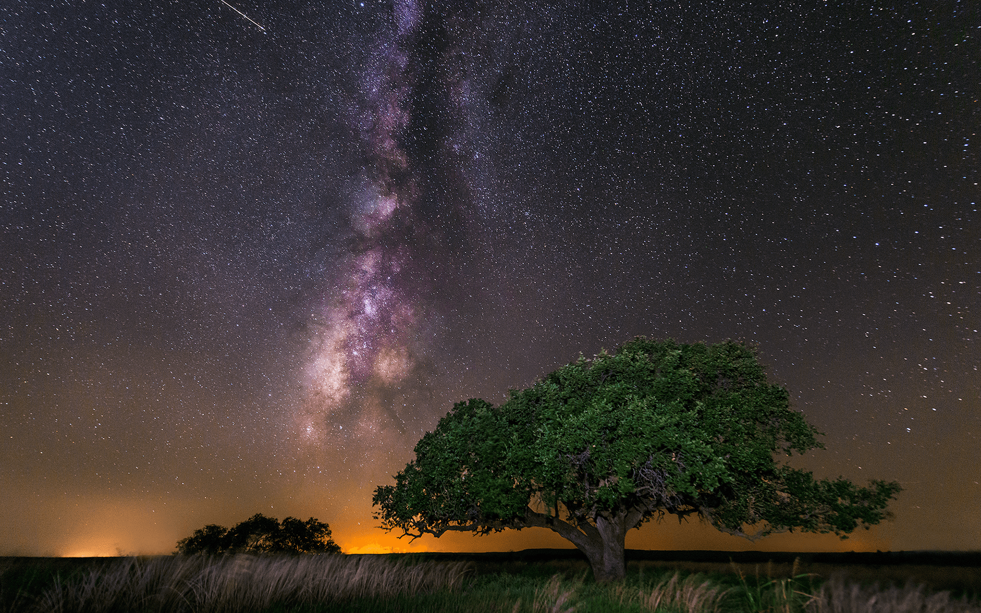 Milky Way Cool Hd Lonely Tree Wallpapers