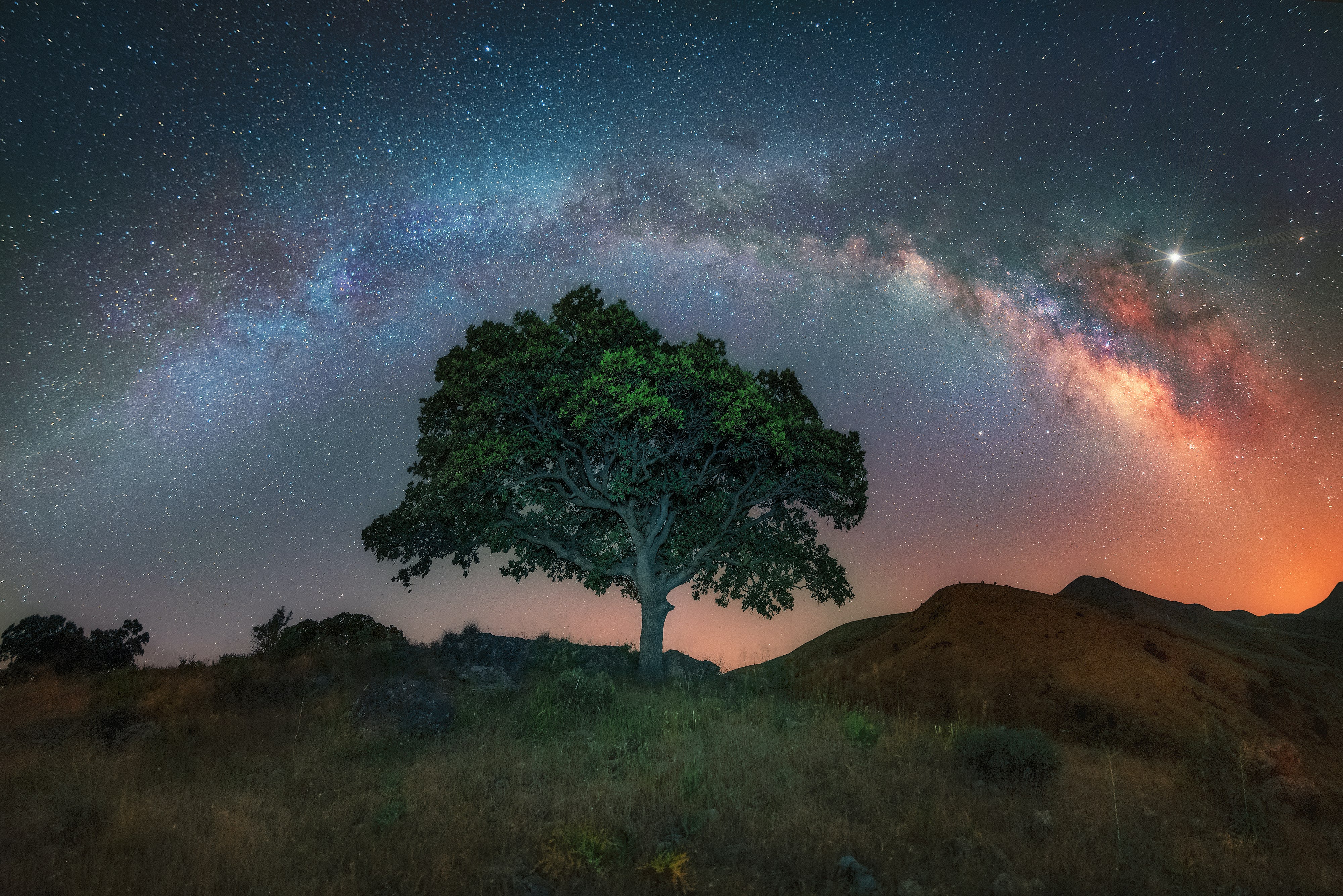 Milky Way Cool Hd Lonely Tree Wallpapers