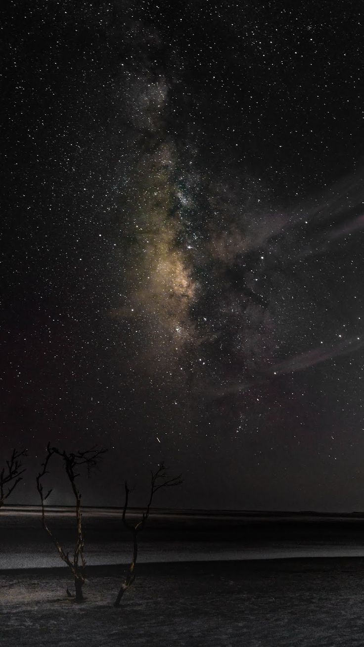 Milky Way Night And Bare Trees Wallpapers