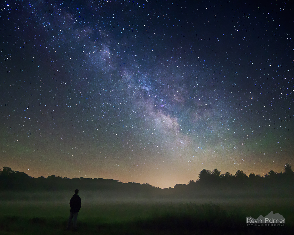 Milky Way Night And Bare Trees Wallpapers