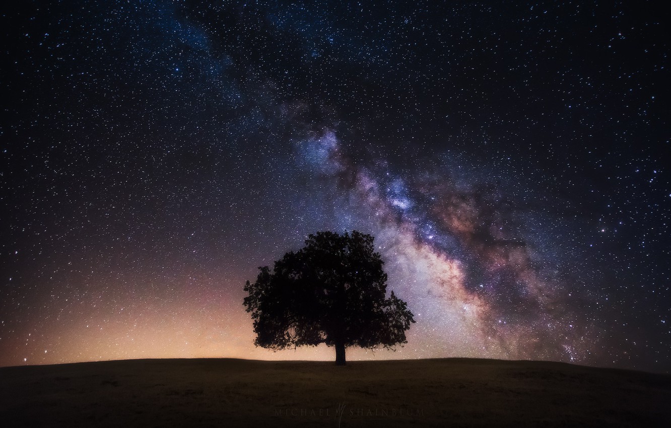 Milky Way Tree Field Wallpapers