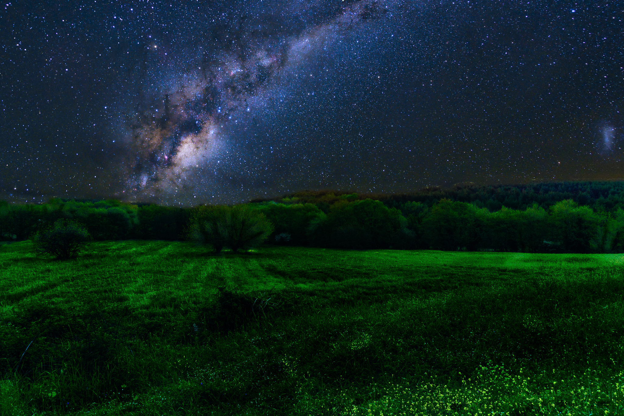 Milky Way Tree Field Wallpapers