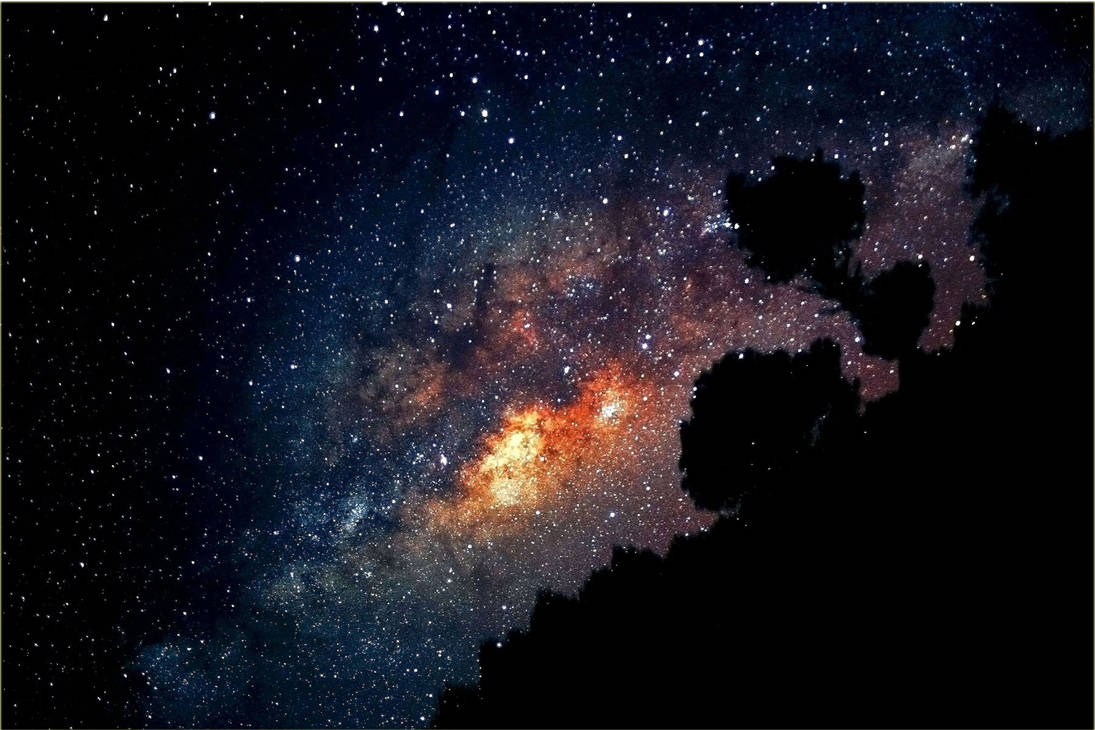 Milky Way Tree Field Wallpapers