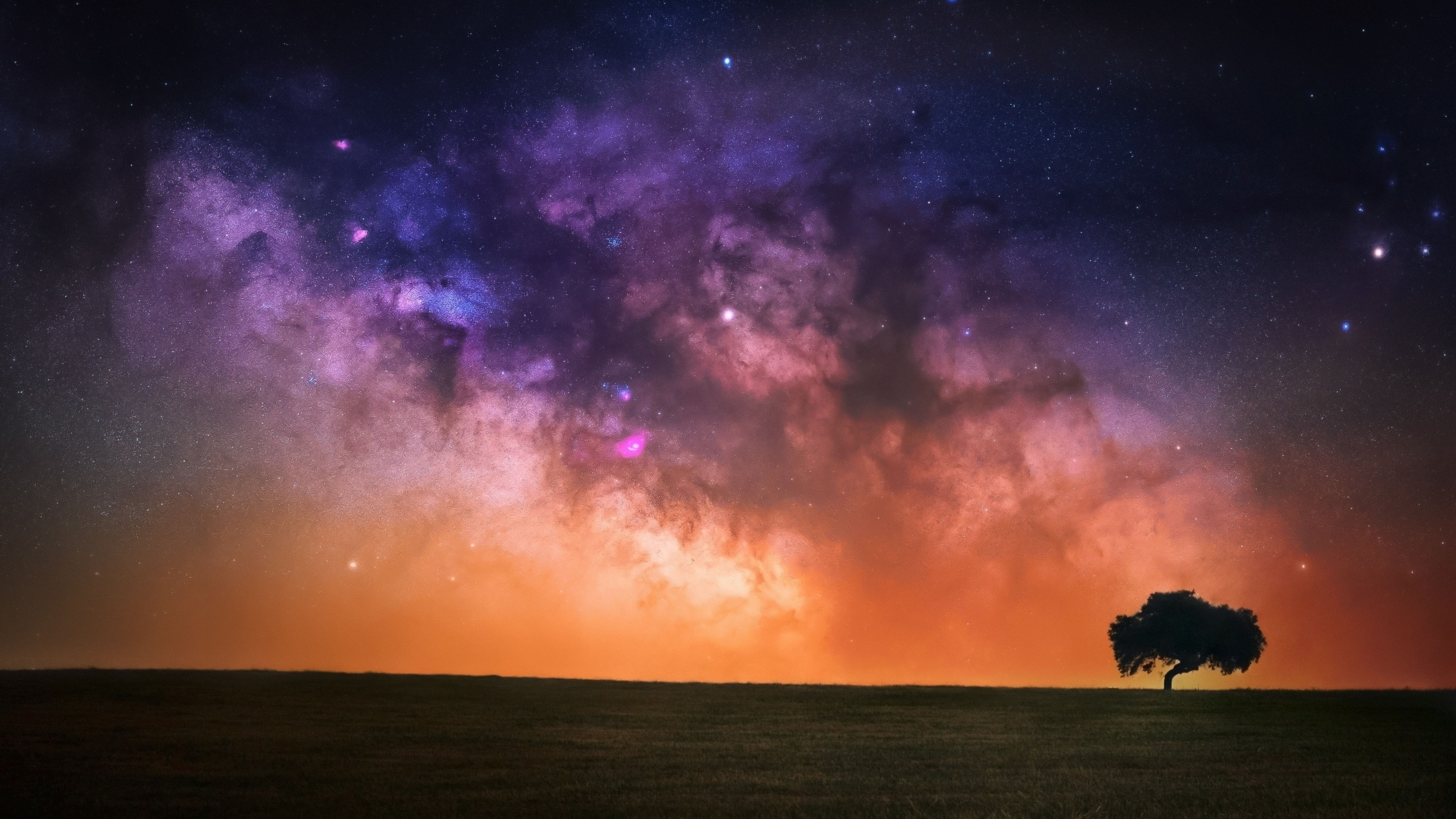 Milky Way Tree Field Wallpapers