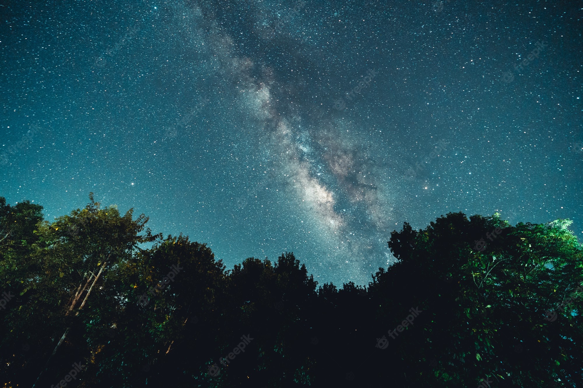 Milky Way Tree Field Wallpapers